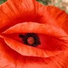 LavernaErotiKa LavernaErotiKa