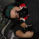 morbidosa83 morbidosa83