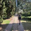 Storyteller_ Storyteller_